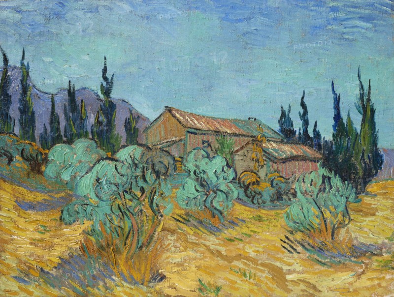 Cabanes de bois parmi les oliviers et cyprès (Wooden Cabins among the Olive Trees...), 1889. Creator: Gogh, Vincent, van (1853-1890).