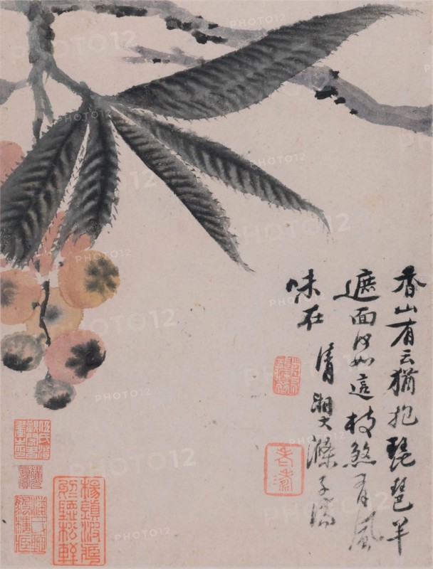 Vegetables and Fruits, End of 17th-Early 18th cen. Creator: Shitao (Zhu Ruoji) (1642-1707).
