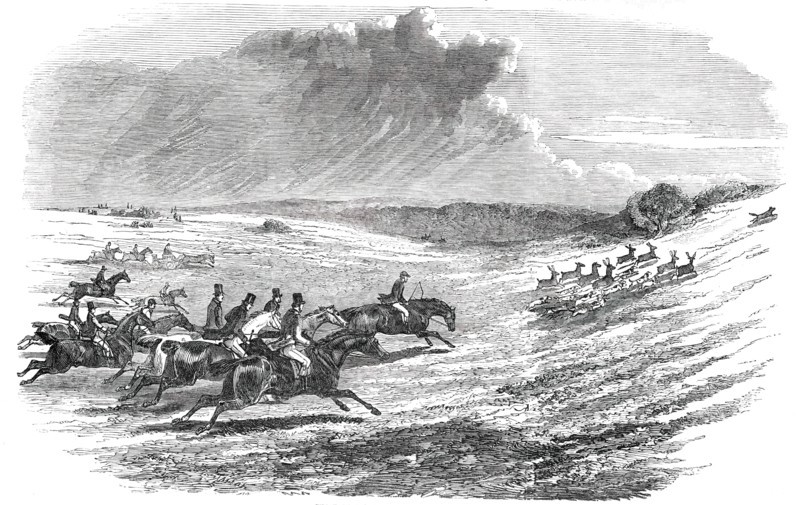 Chase of a Jackal, in the New Forest, 1850. Creator: Unknown.