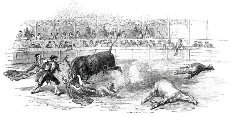 Bull-Fight at Madrid - Accident to Montes, the Matador, 1850. Creator: Unknown.