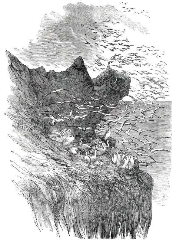 The Bass Rock, 1850. Creator: Unknown.