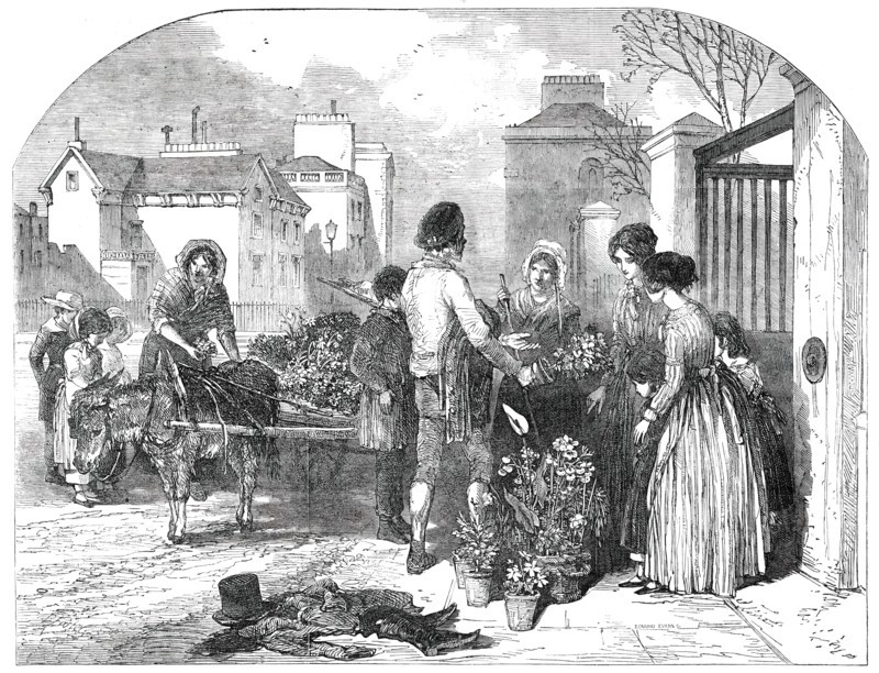 All A-Blowing! All A-Growing!, 1850. Creator: Edmund Evans.