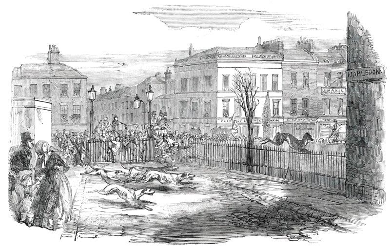 Stag Hunt in the New-Road on Tuesday, 1850. Creator: Unknown.