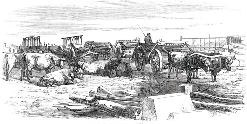 Russian Bullock Carts, 1850. Creator: Unknown.