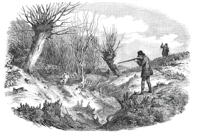 Rabbit-Shooting near Tunbridge - drawn by Duncan, 1850. Creator: Unknown.