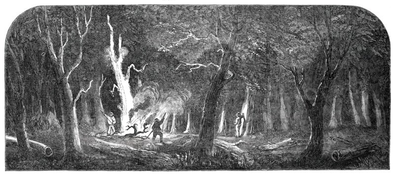 Panorama of the Ohio - Clearing a Forest, 1850. Creator: Unknown.