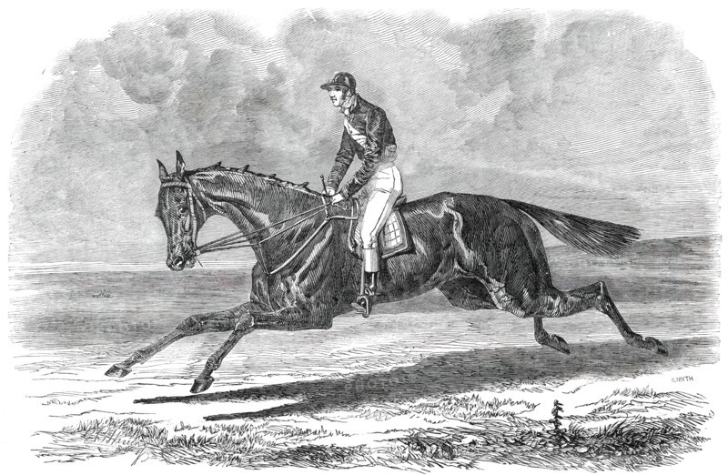 Rhedycina, Winner of the Oaks Stakes, at Epsom, 1850. Creator: Unknown.