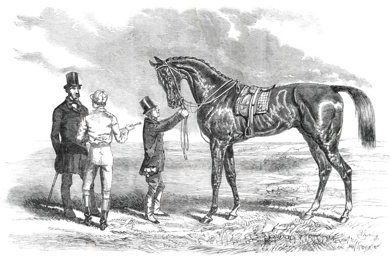 Wanota, Winner of the Ascot Stakes, 1850. Creator: Unknown.