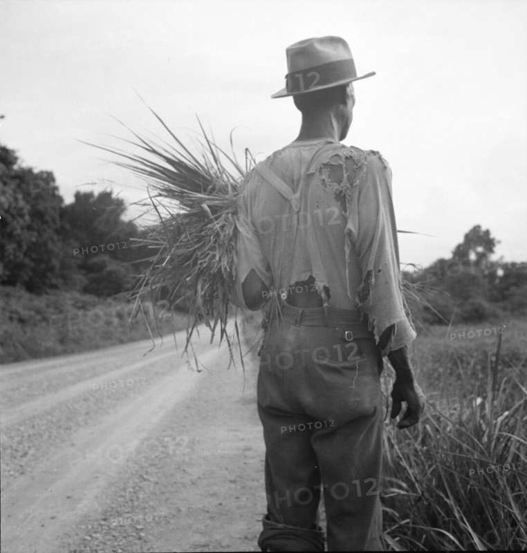 Old time Negro living on cotton patch near Vicksburg, Mississippi, 1936. Creator: Dorothea Lange.