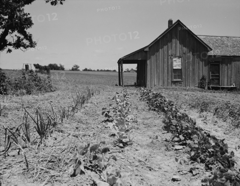 House of ex-tenant farmer now on reliefEllis County, Texas, 1937. Creator: Dorothea Lange.