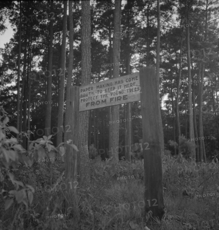 Roadsign, Fullerton, Louisiana, 1937. Creator: Dorothea Lange.