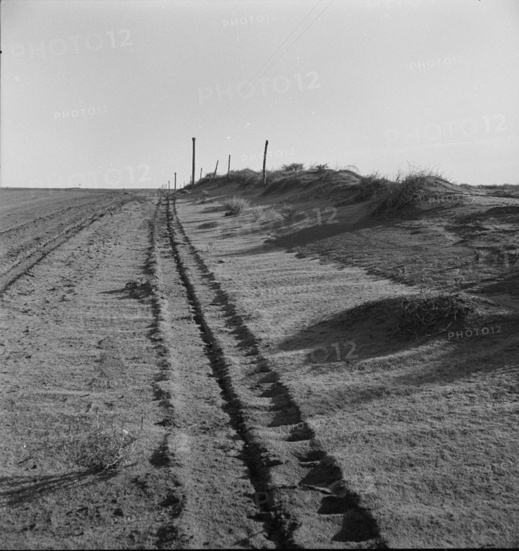 Sand drift along fence, Dust Bowl, north of Dalhart, Texas, 1938. Creator: Dorothea Lange.