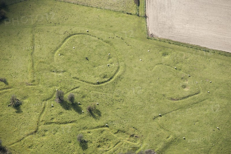 Iron Age and Romano British settlement remains, Cranborne Chase, Wiltshire, 2016. Creator: Damian Grady.