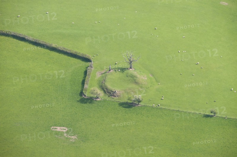 Cothill Tump, a motte castle, Herefordshire, 2016. Creator: Damian Grady.