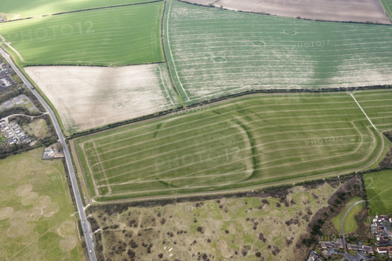 Woodbury Iron Age univallate hillfort crop mark, Salisbury, Wiltshire, 2016. Creator: Damian Grady.