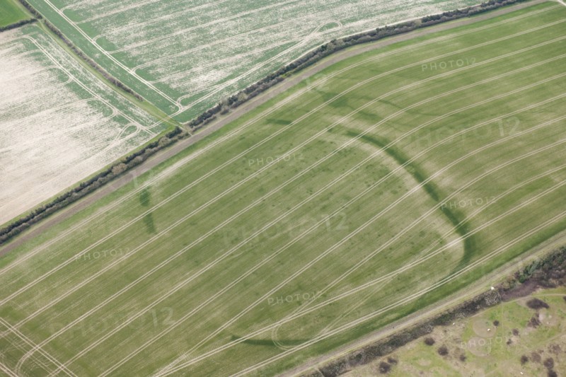 Woodbury Iron Age univallate hillfort crop mark, Salisbury, Wiltshire, 2016. Creator: Damian Grady.