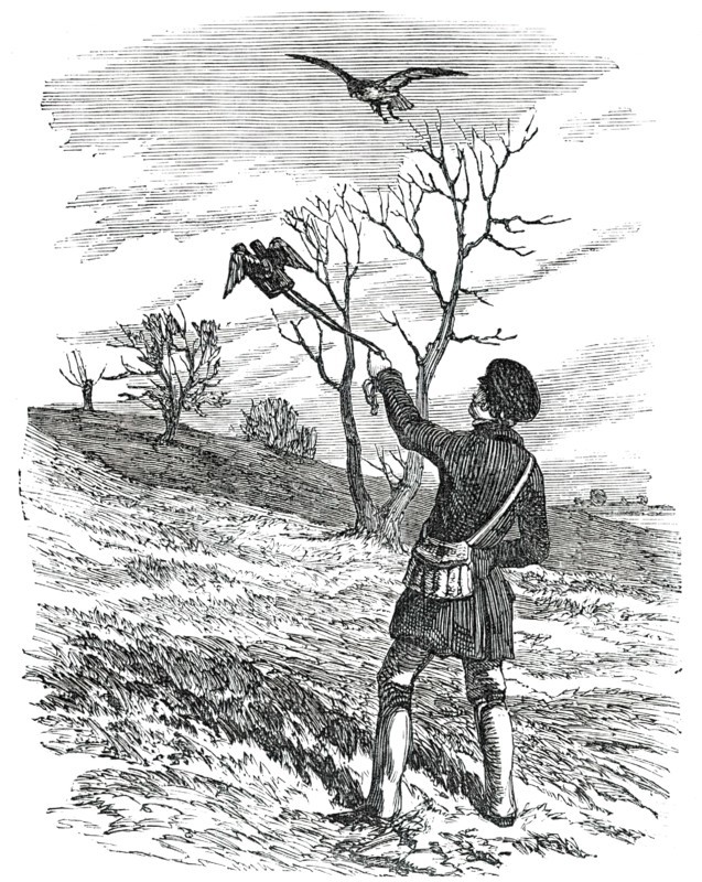 Hawking - the Lure, 1850. Creator: Unknown.
