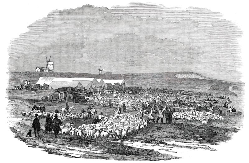 Lewes Great Sheep Fair, 1850. Creator: Unknown.