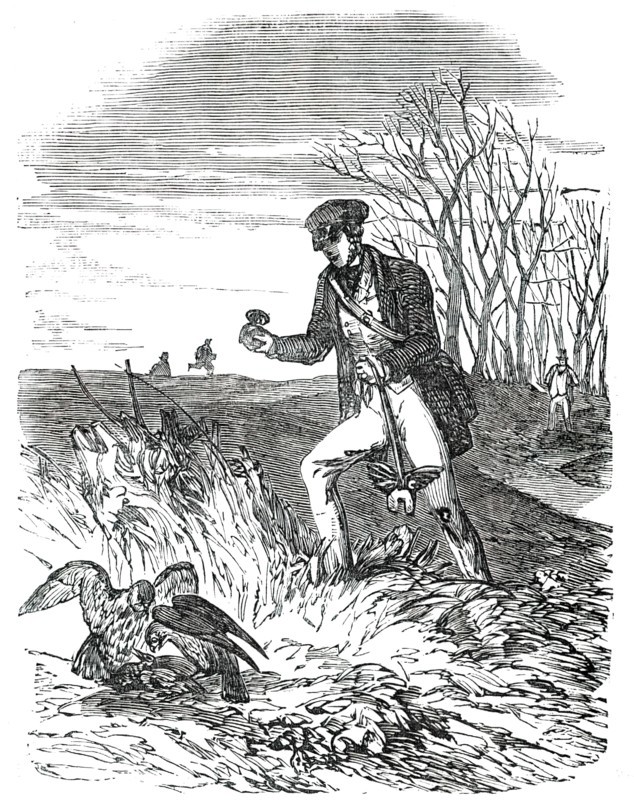 Falconer about to Disengage Falcons from Quarry, 1850. Creator: Unknown.
