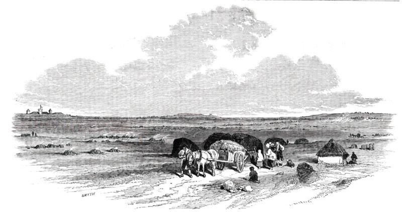 The Bog of Allen, from the Canal Side, 1850. Creator: Smyth.