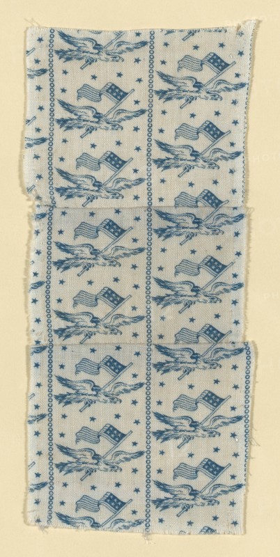 Fragment, United States, 1876. Creator: Unknown.