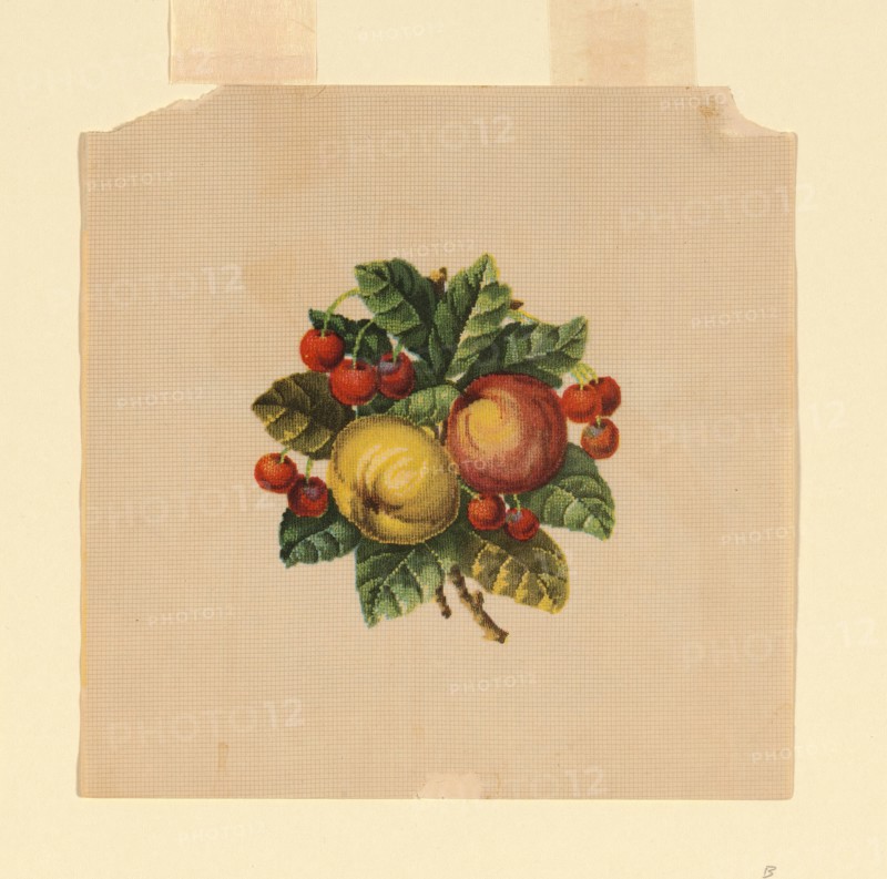 Probably a Design for Needlepoint, United States, probably 19th century. Creator: Unknown.