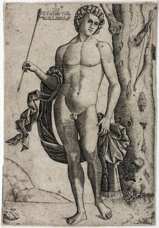 A Young Man with an Arrow, c.1510. Creator: Benedetto Montagna.