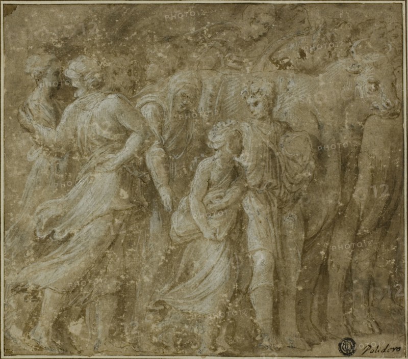 Procession of Figures and Oxen, n.d. Creator: Biagio Pupini.