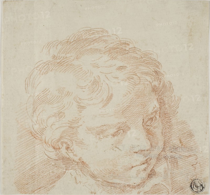 Child's Head, n.d. Creators: Donato Creti, Francesco Fontebasso, Domenico Maria Fratta.