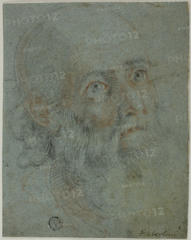 Head of a Bearded Man, Looking Up to Right: Study for Saint Catherine of Alexandria..., c.1603. Creator: Ludovico Cardi.