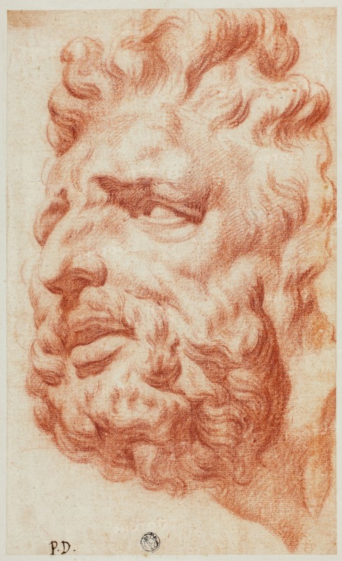 Head of Laocoon, n.d. Creator: Pietro Dandini.