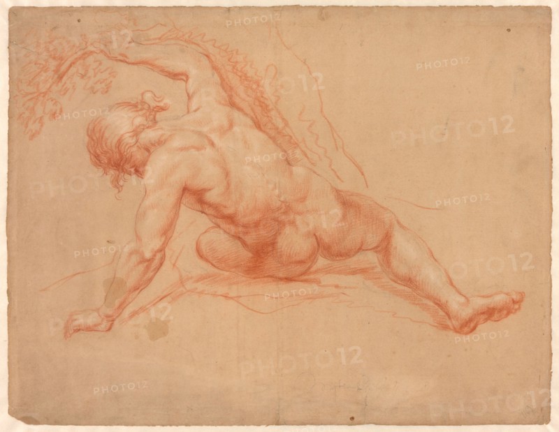 Male Nude Seen from Behind, 1672/88. Creator: Daniel Mijtens.