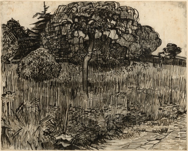 Weeping Tree, 1889. Creator: Vincent van Gogh.