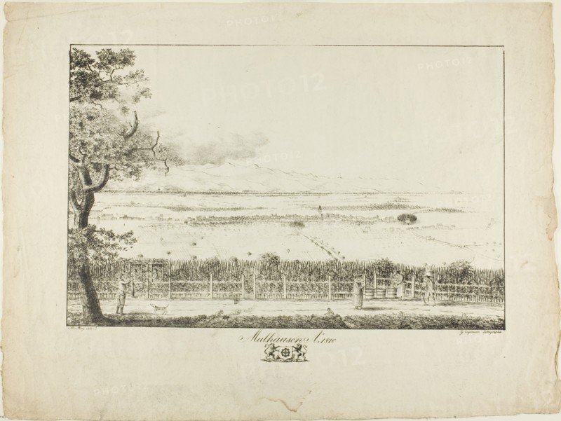 View of Mulhouse, 1810, printed 1814/16. Creator: Mathieu Mieg.
