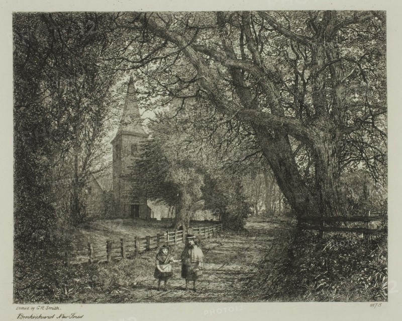 Brockenhurst, New Forest, 1878. Creator: GR Smith.