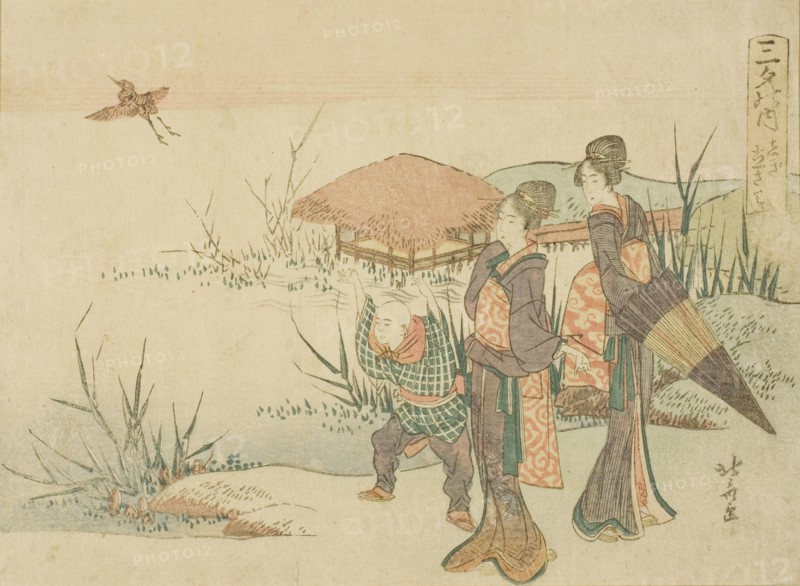 The Marsh Where the Snipe Takes Flight (Shigi tatsu sawa), from the series "Three..., Japan, n.d. Creator: Hokusai.
