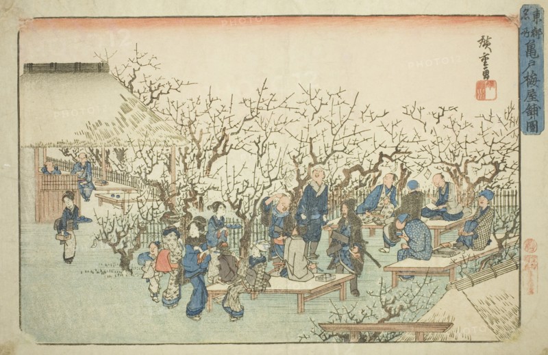 The Plum Garden at Komeido (Kameido ume yashiki no zu), from the series "Famous..., c. 1832/38. Creator: Ando Hiroshige.