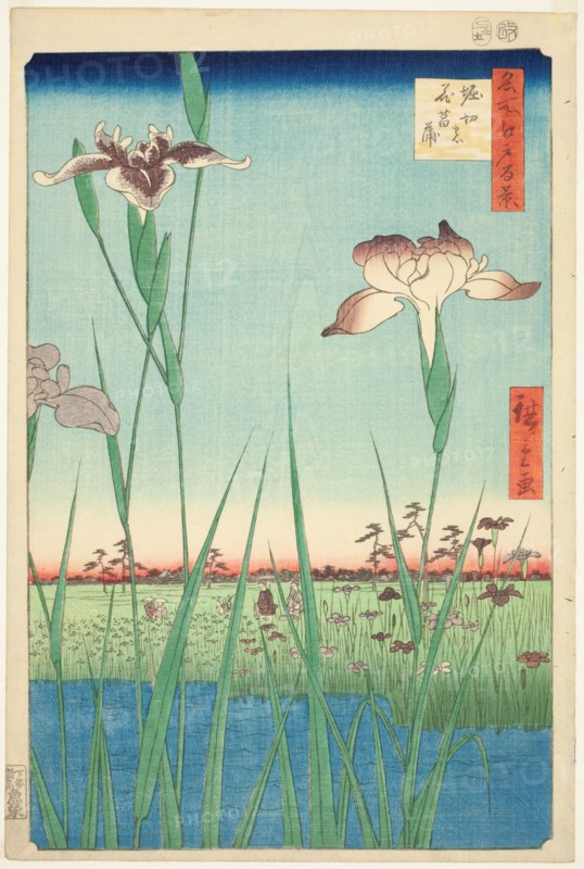 Irises at Horikiri (Horikiri no hanashobu), from the series "One Hundred Famous Views..., 1857. Creator: Ando Hiroshige.