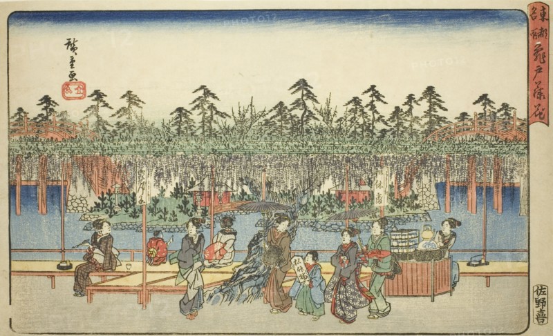 Wisteria at Kameido (Kameido Tenjin fuji hana), from the series "Famous Places in the...", c1839/42. Creator: Ando Hiroshige.