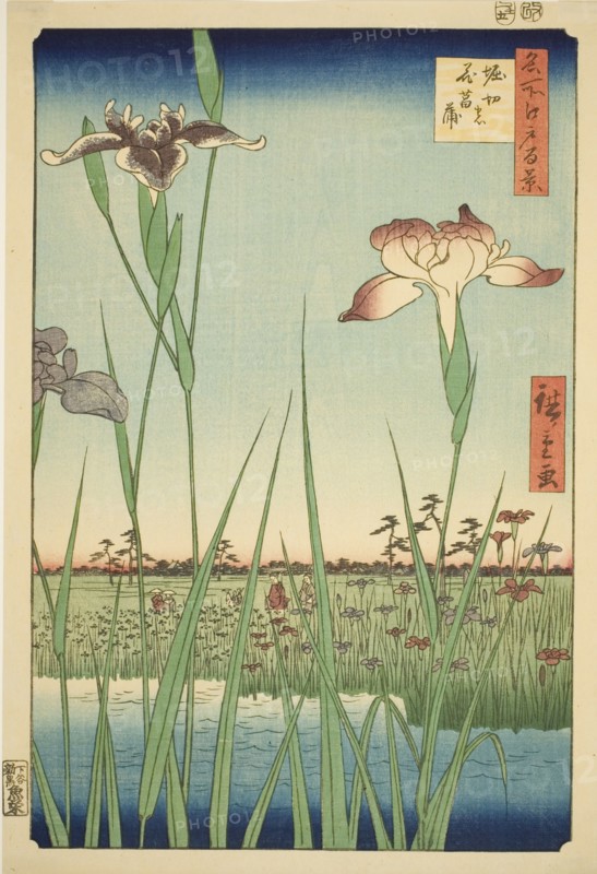 Irises at Horikiri (Horikiri no hanashobu), from the series "One Hundred Famous Views of..., 1857. Creator: Ando Hiroshige.