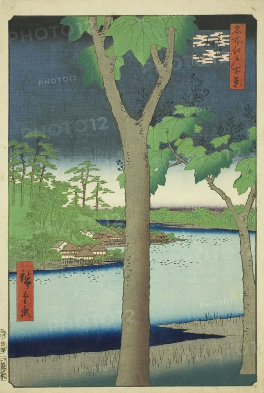 The Paulownia Grove at Akasaka (Akasaka Kiribatake), from the series "One Hundred..., 1856. Creator: Ando Hiroshige.