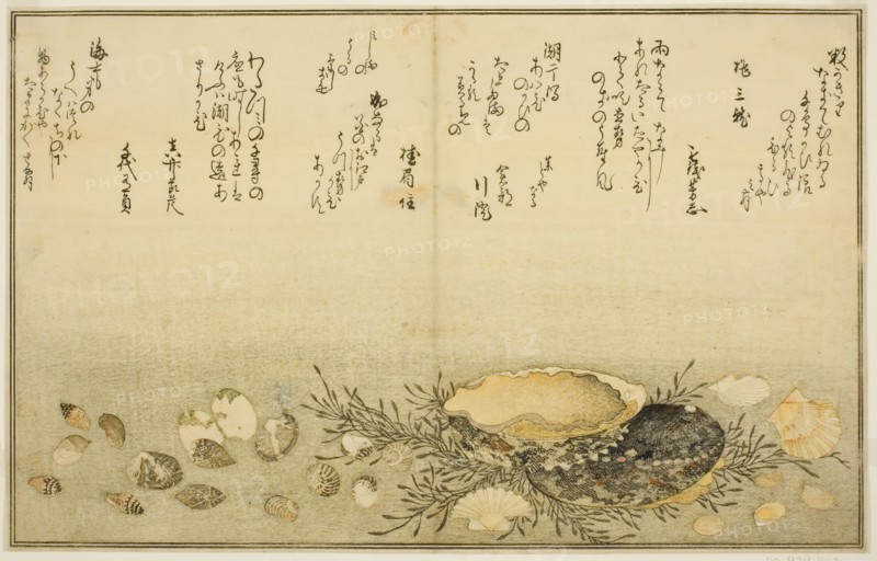 Chidori-gai, itaya-gai, awabi, utsuse-gai, asari-gai, and monoara-gai, from the illustrated...,1789. Creator: Kitagawa Utamaro.