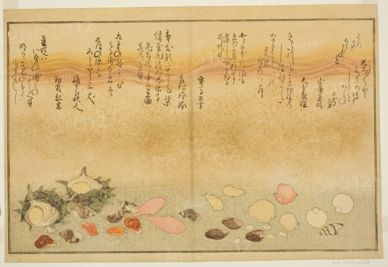 Shiro-gai, namima-gashiwa, makura-gai, iro-gai, aza-gai, sadae-gai, from the illustrated b..., 1789. Creator: Kitagawa Utamaro.