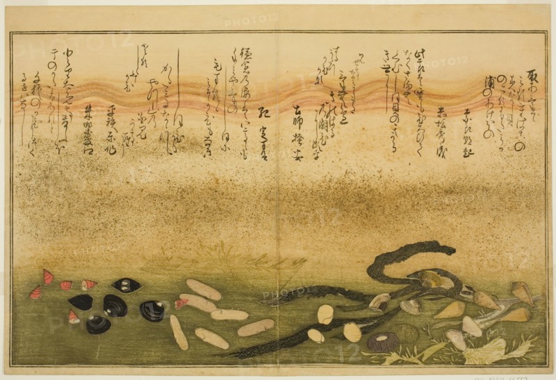 Minashi-gai, shio-gai, katatsu-gai, miso-gai, chijimi-gai, and chigusa-gai, from the illus..., 1789. Creator: Kitagawa Utamaro.