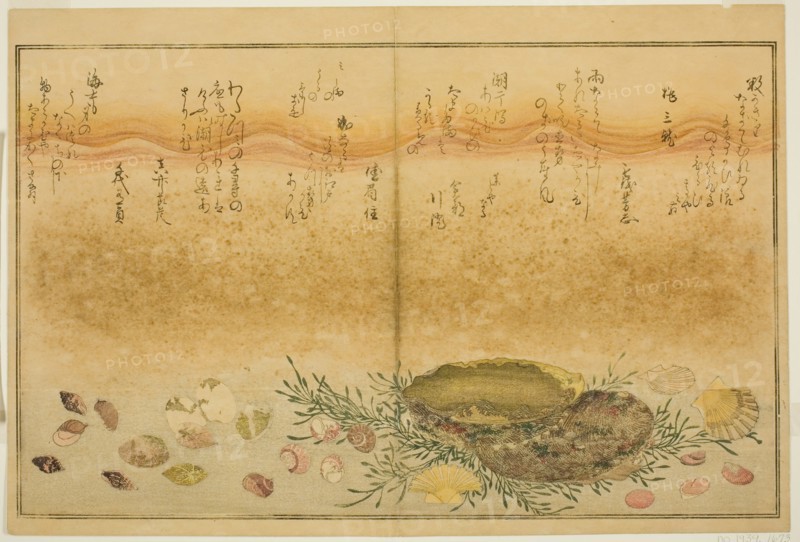 Chidori-gai, itaya-gai, awabi, utsuse-gai, asari-gai, and monoara-gai, from the illustrated...,1789. Creator: Kitagawa Utamaro.