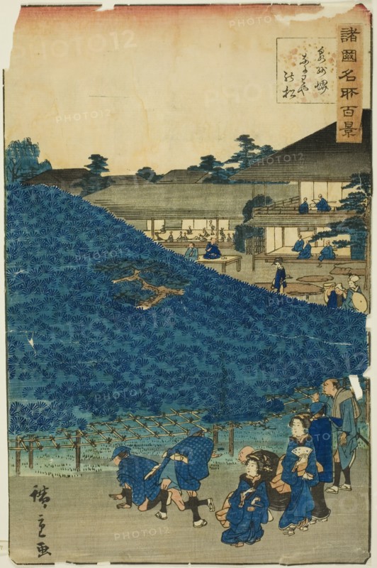 The Naniwaya Pine Tree at Sakai in Izumi Province (Senshu Sakai Naniwaya no matsu), from t..., 1859. Creator: Utagawa Hiroshige II.