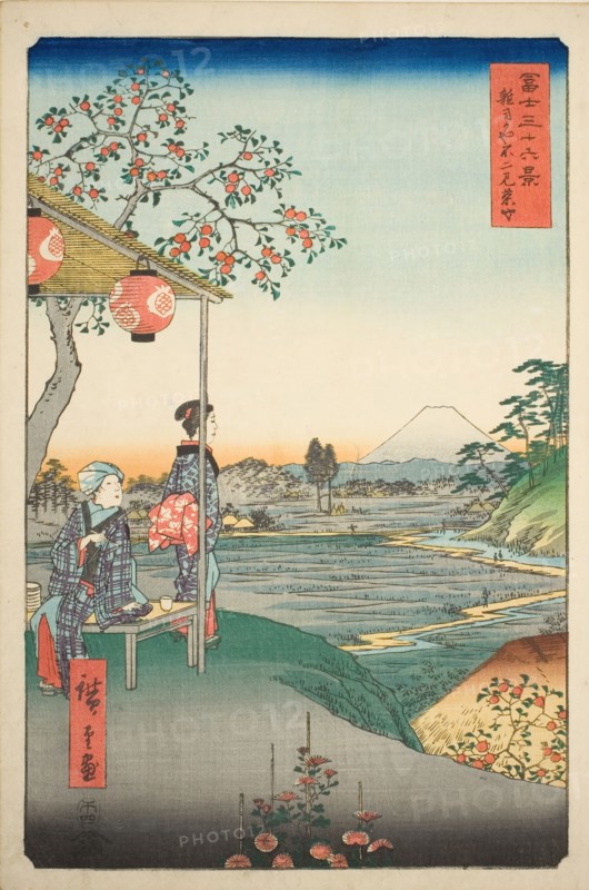 View of Mount Fuji from a Teahouse at Zoshigaya (Zoshigaya Fujimi chaya), from the..., 1858. Creator: Ando Hiroshige.