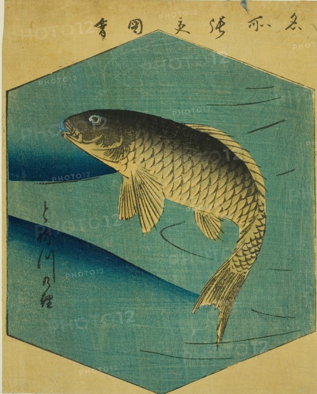Carp in the Tone River (Tonegawa no koi), section of a sheet from the series "Cutout..., 1857. Creator: Ando Hiroshige.