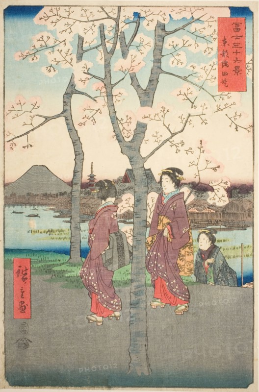 The Sumida Embankment in the Eastern Capital (Toto Sumida zutsumi), from the series "Thirty...,1858. Creator: Ando Hiroshige.