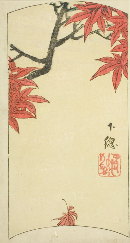 Maple Leaves in Shimosa Province (Shimosa, momiji), section of sheet no. 7 from the series..., 1852. Creator: Ando Hiroshige.